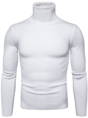 Turtleneck Plain Standard Slim Spring -pusero