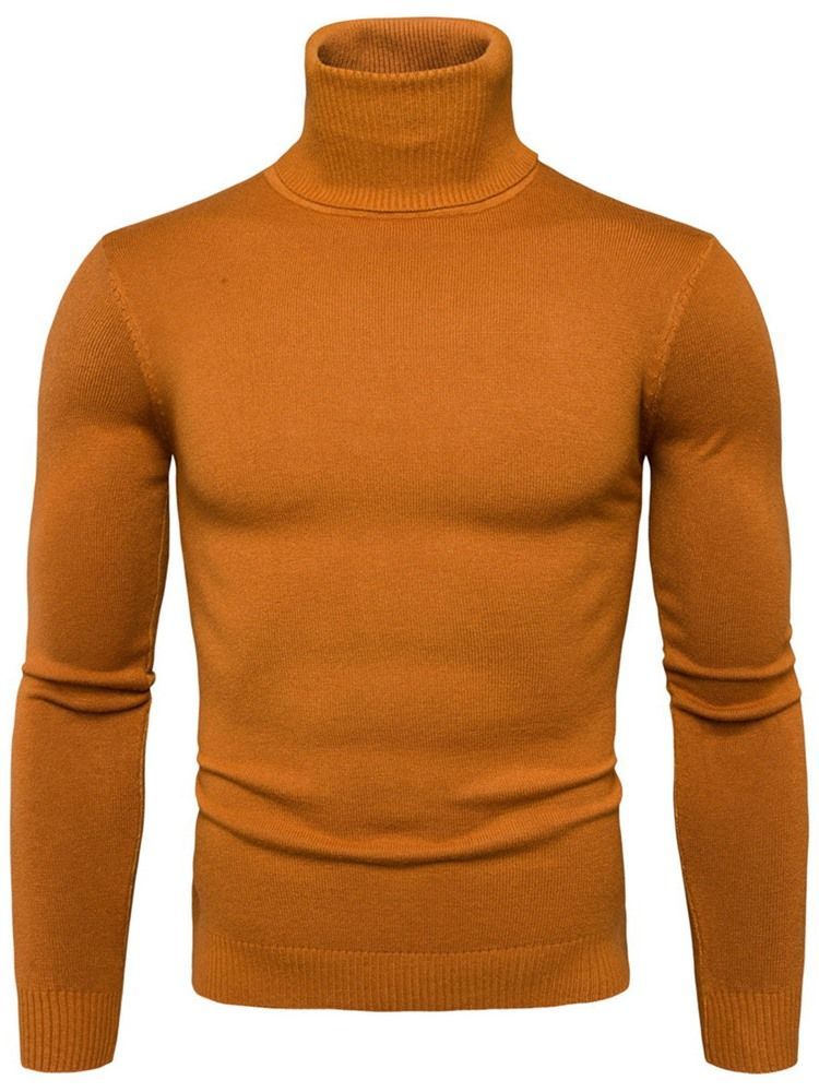 Turtleneck Plain Standard Slim Spring -pusero