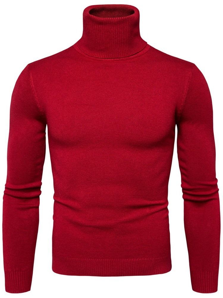 Turtleneck Plain Standard Slim Spring -pusero