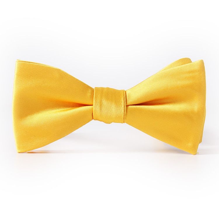 Pure Color Tiivis Bowtie Miehille